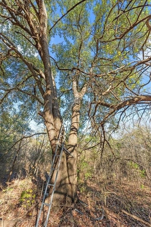 93.88 acres in Hill County - photo 39