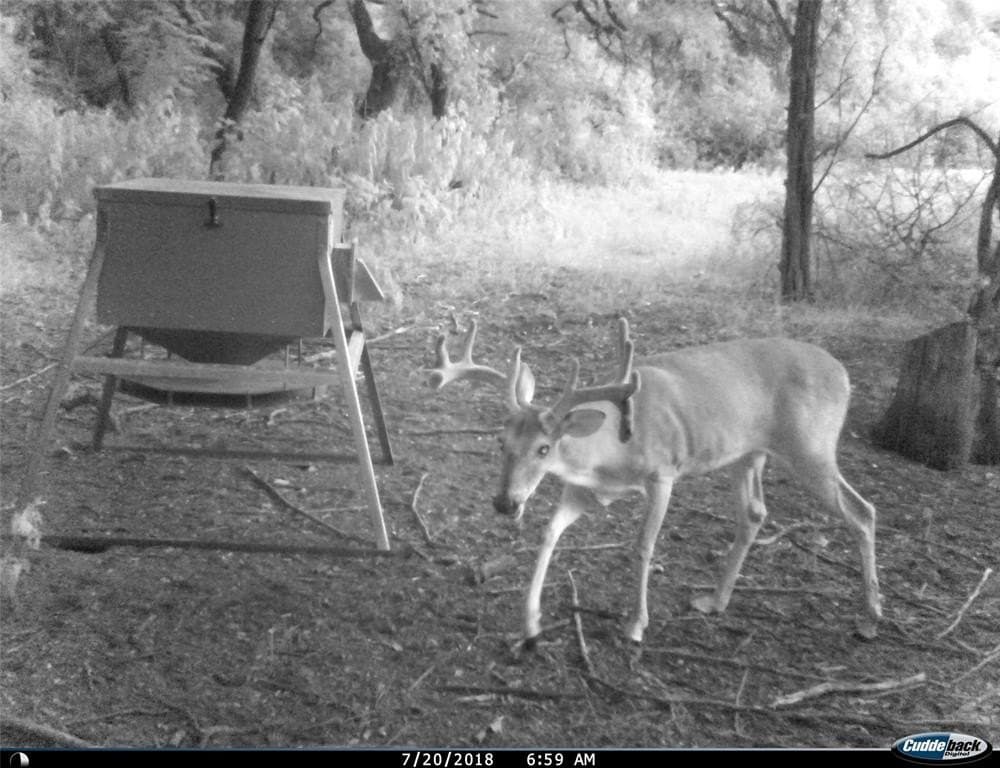 93.88 acres in Hill County - photo 38
