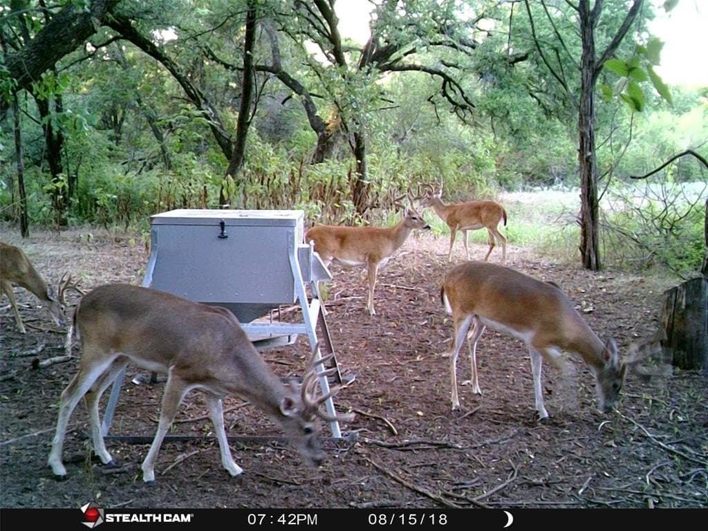 93.88 acres in Hill County - photo 37