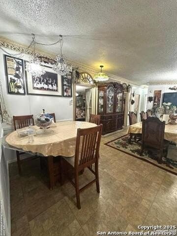 14.32 acres in Frio County - photo 11
