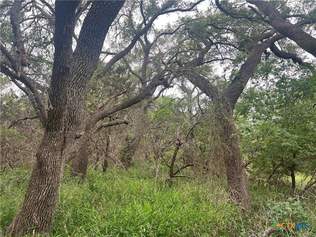 18.73 acres in Blanco County - photo 8