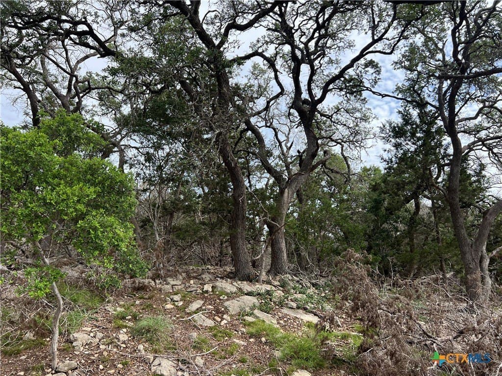18.73 acres in Blanco County - photo 5