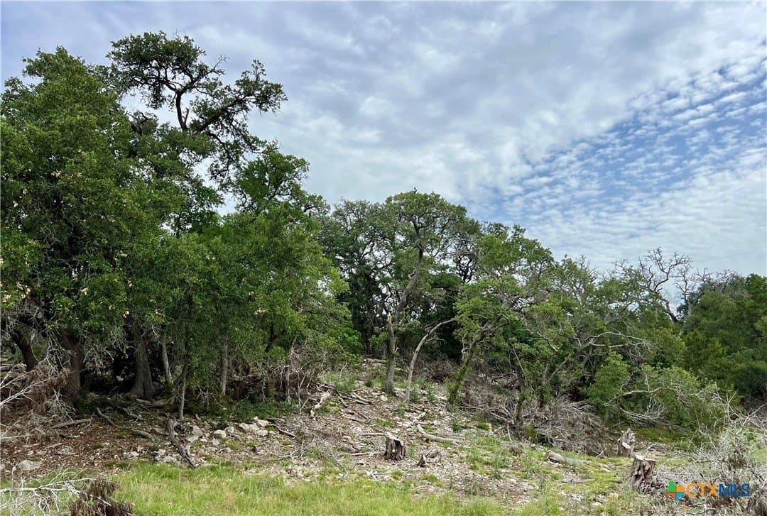 18.73 acres in Blanco County - photo 3