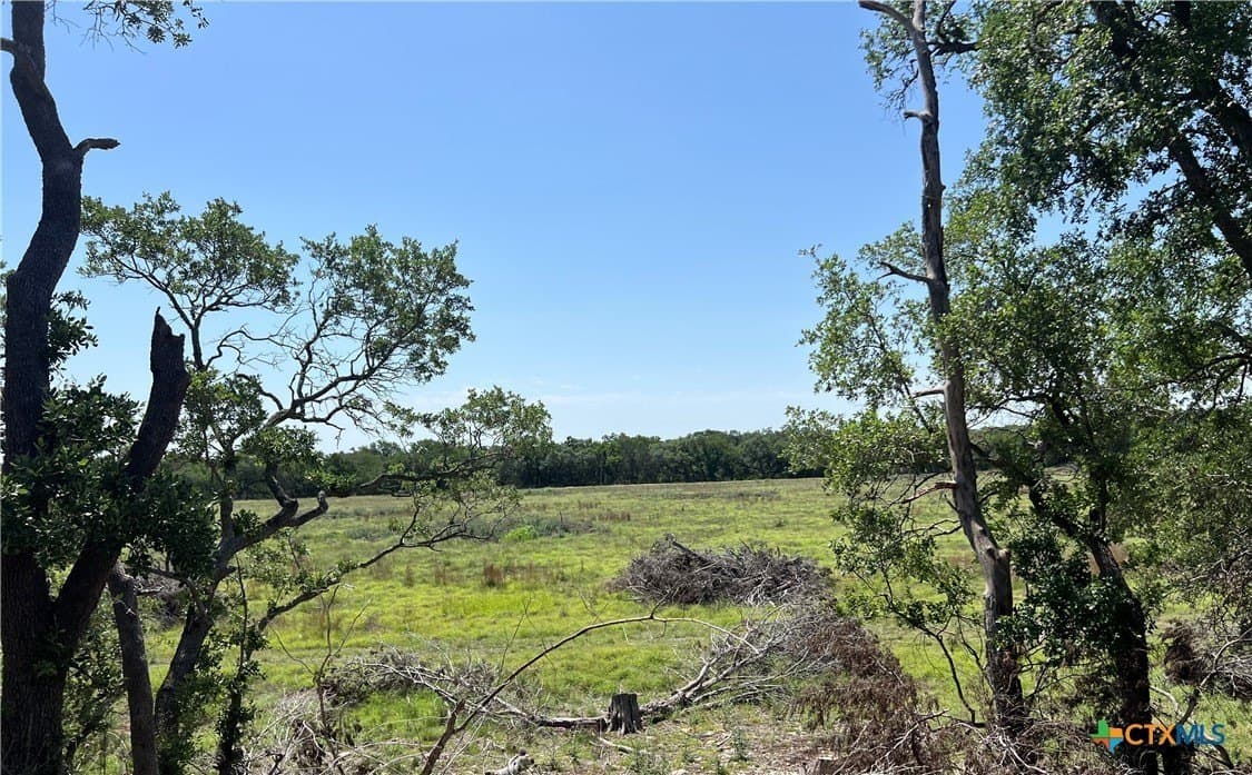 18.73 acres in Blanco County - photo 2