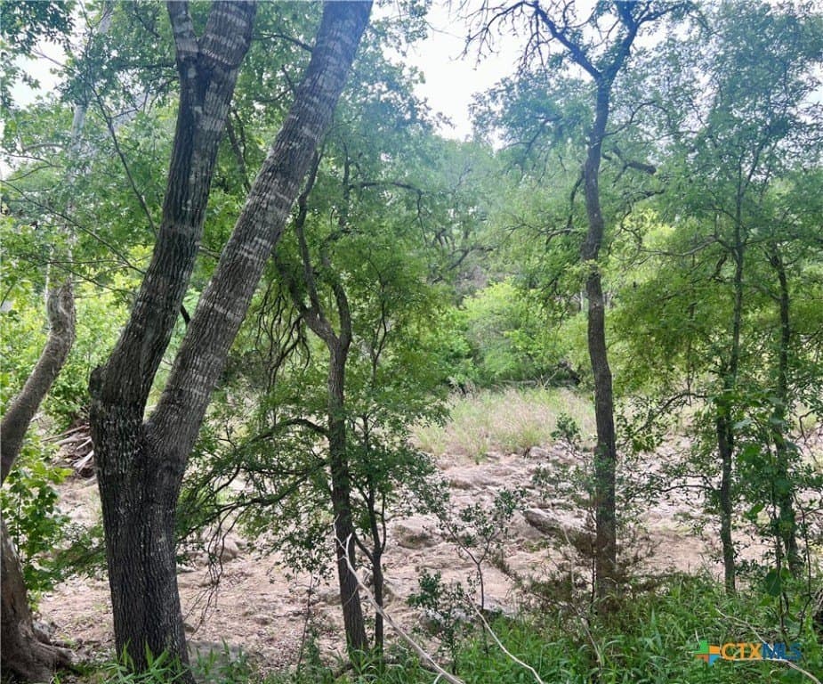 18.73 acres in Blanco County - photo 7