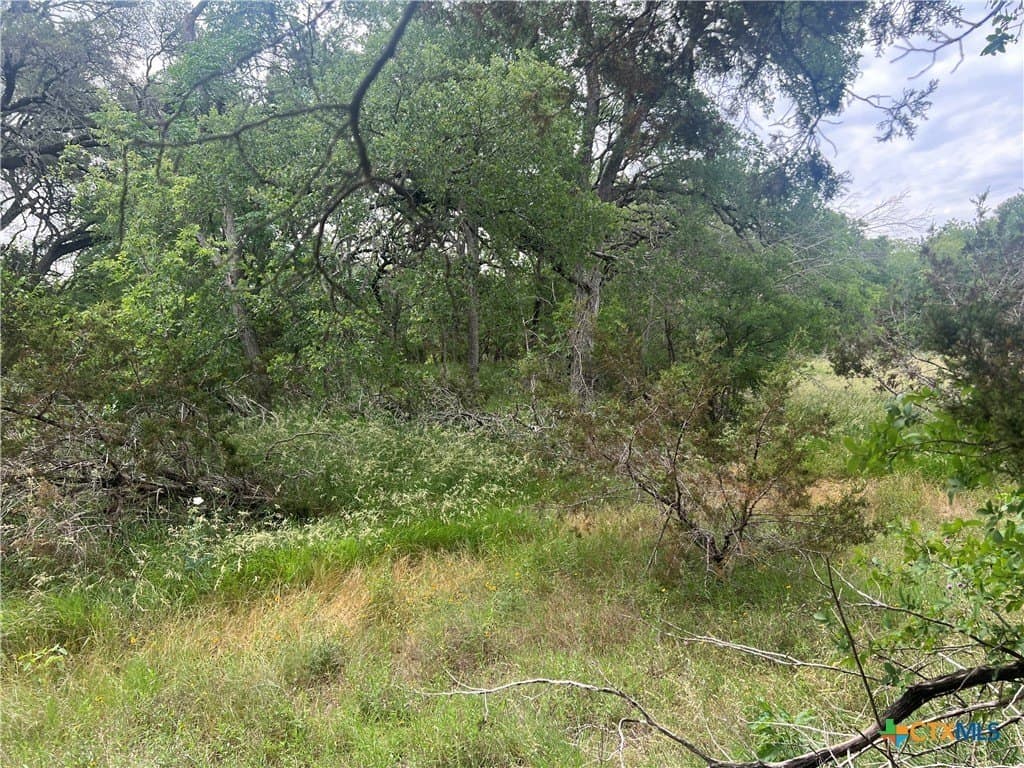 18.73 acres in Blanco County - photo 6