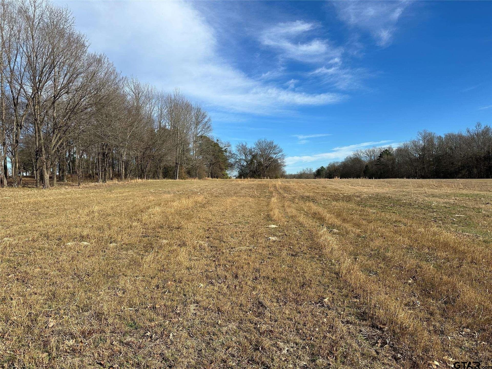 10.49 acres in Hopkins County - photo 4