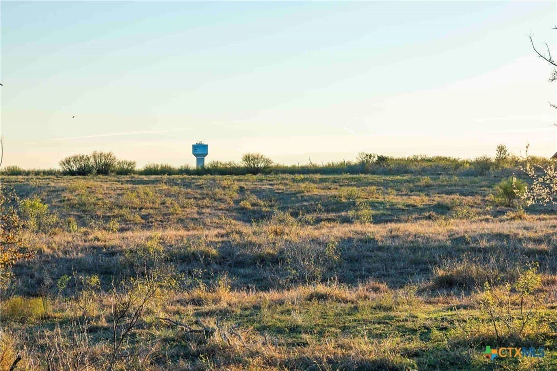 262 acres in Williamson County - photo 3