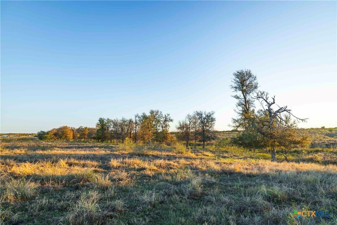 262 acres in Williamson County - photo 2