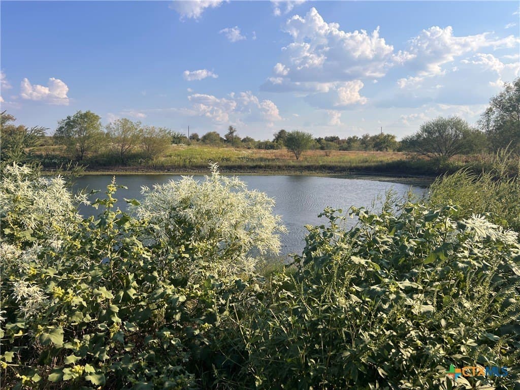 262 acres in Williamson County - photo 4