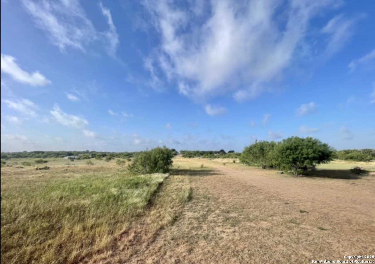 0.45 acres in Frio County - photo 2