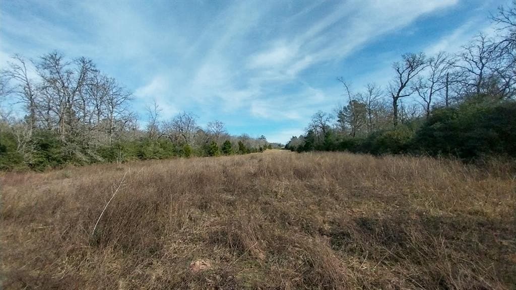 59.66 acres in Leon County - photo 9