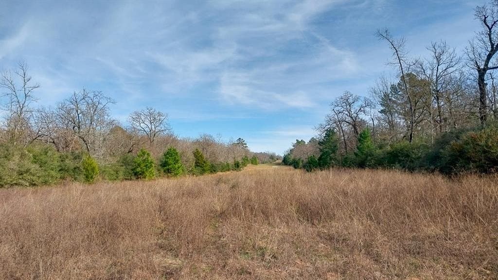 59.66 acres in Leon County - photo 2