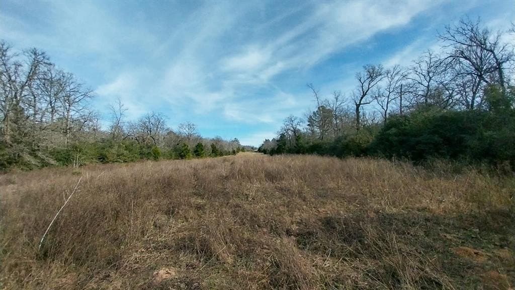 59.66 acres in Leon County - photo 6