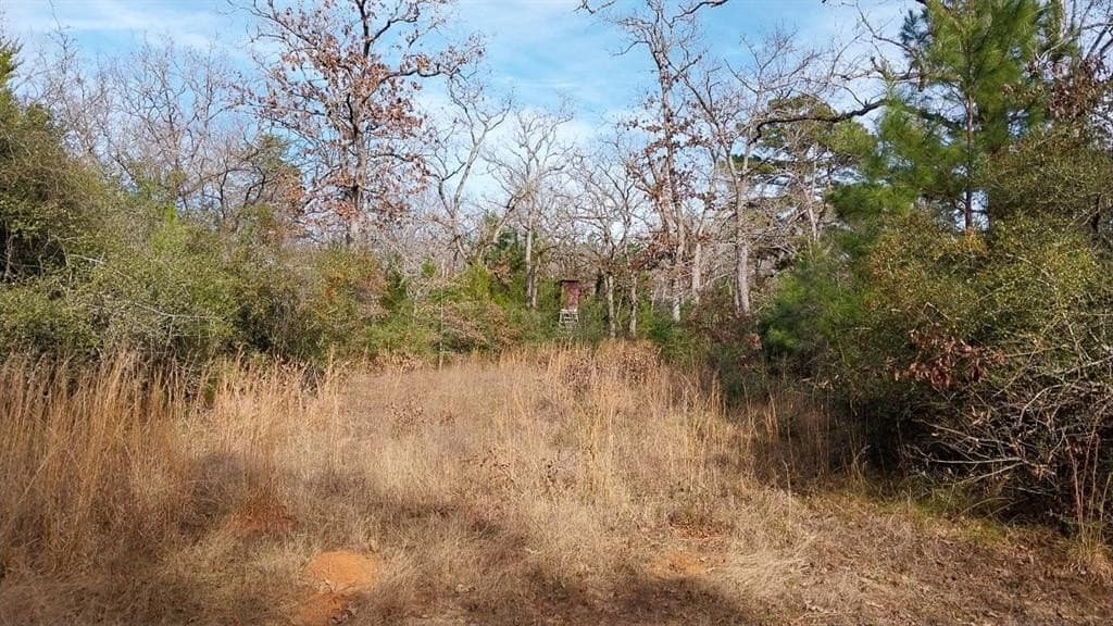 59.66 acres in Leon County - photo 8