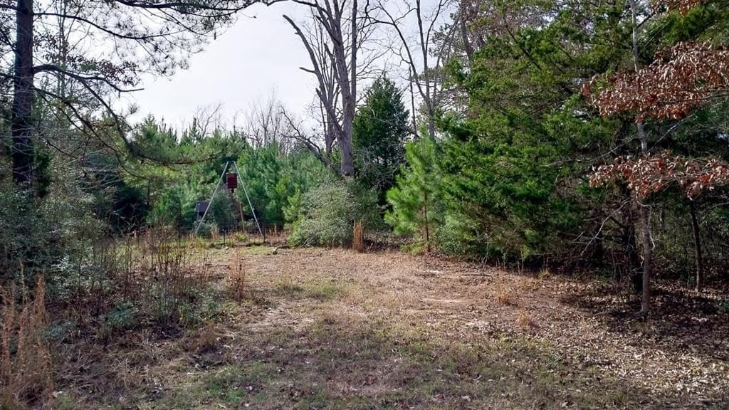59.66 acres in Leon County - photo 4