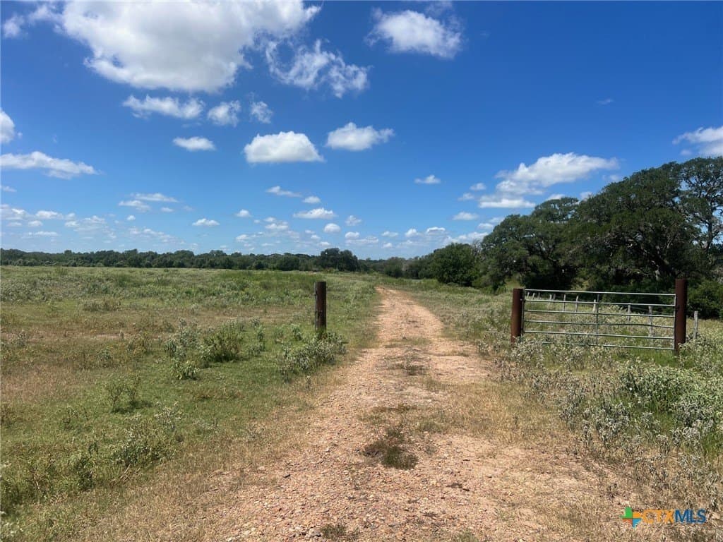 131.32 acres in Lavaca County - photo 3