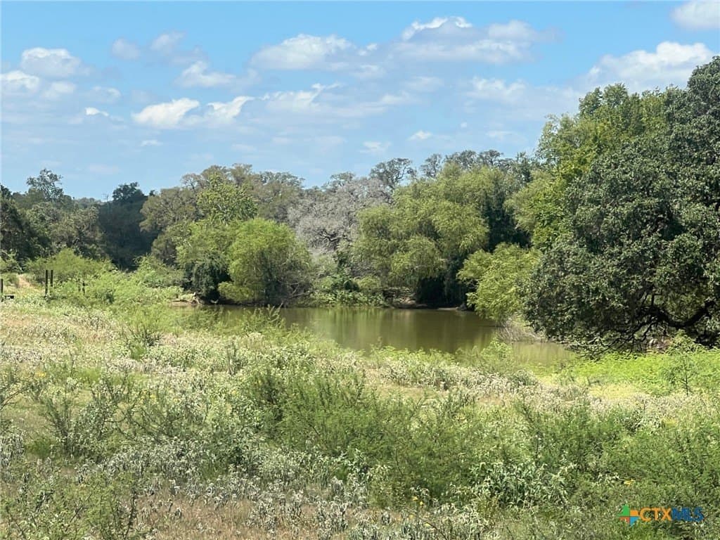 131.32 acres in Lavaca County - photo 4