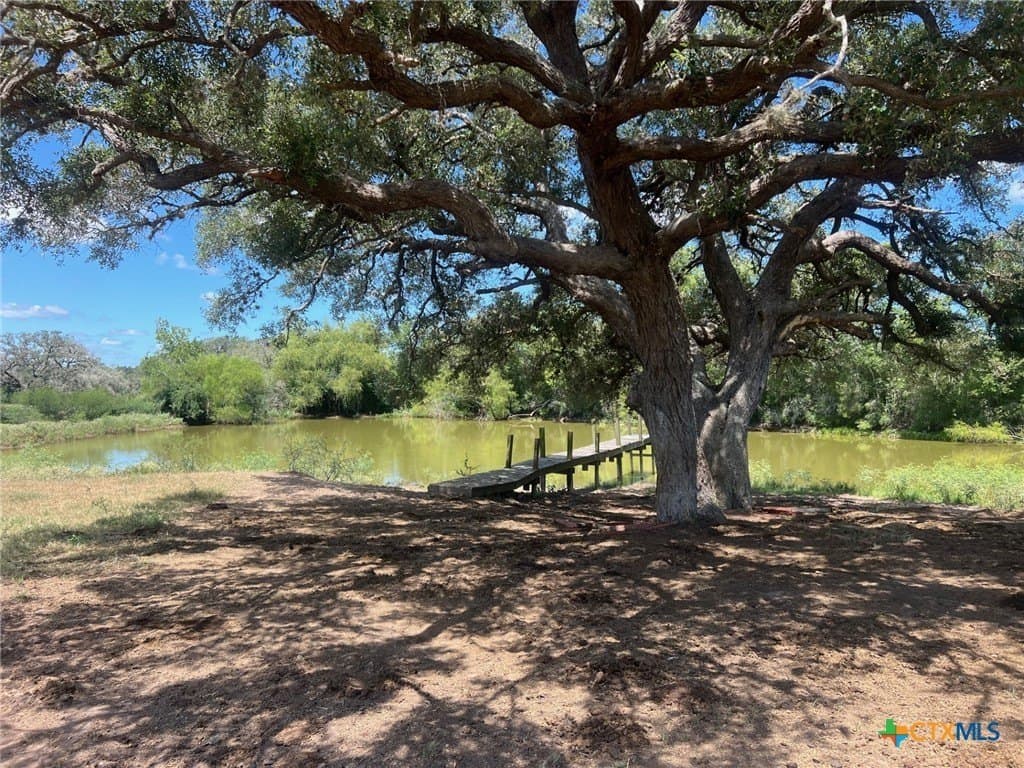 131.32 acres in Lavaca County - photo 5
