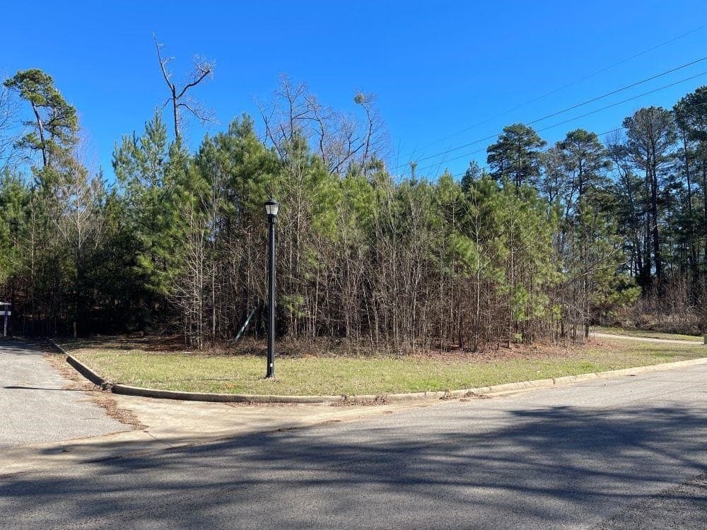 0.19 acres in Gregg County - photo 3