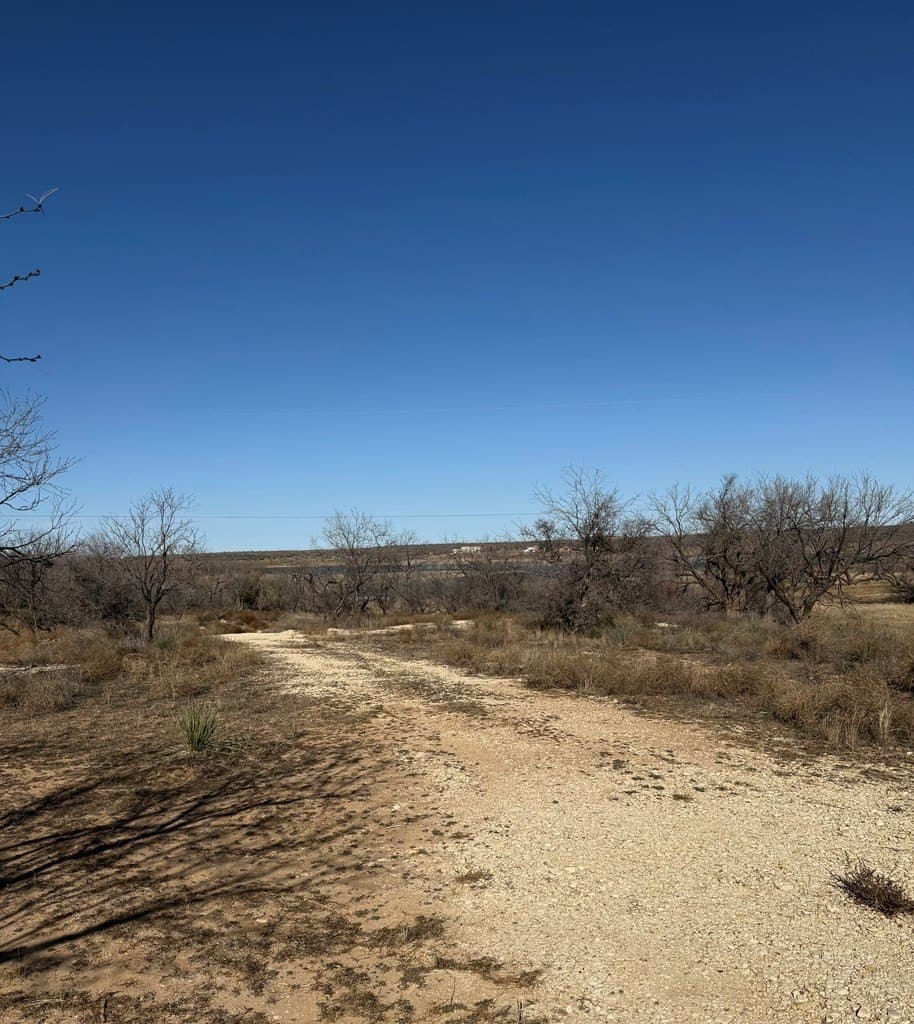 0 acres in Mitchell County - photo 9