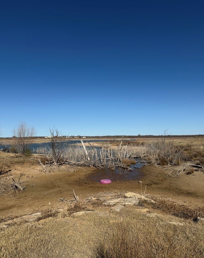 0 acres in Mitchell County - photo 6