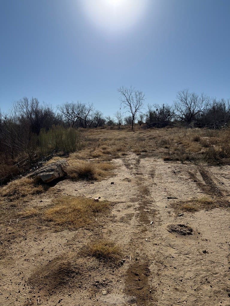 0 acres in Mitchell County - photo 2