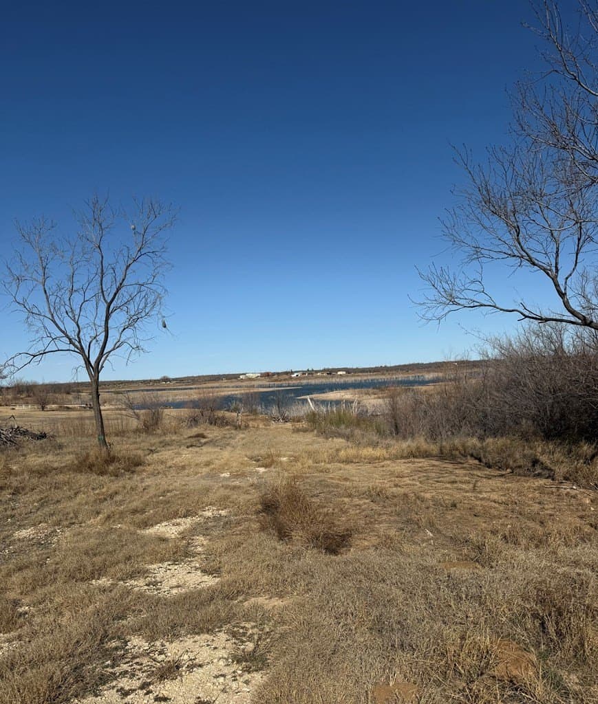 0 acres in Mitchell County - photo 4
