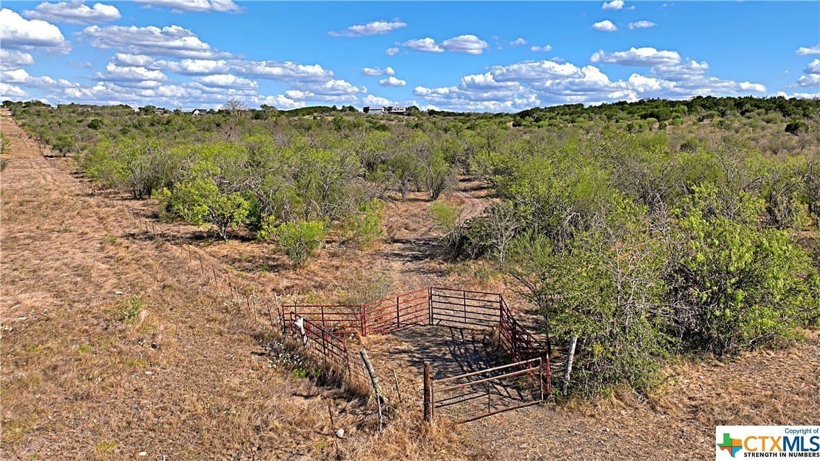 82.31 acres in Hays County - photo 5
