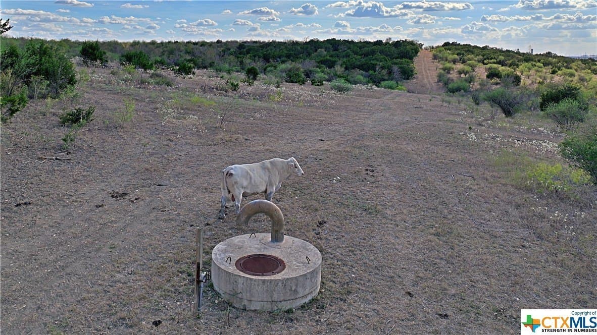 82.31 acres in Hays County - photo 9