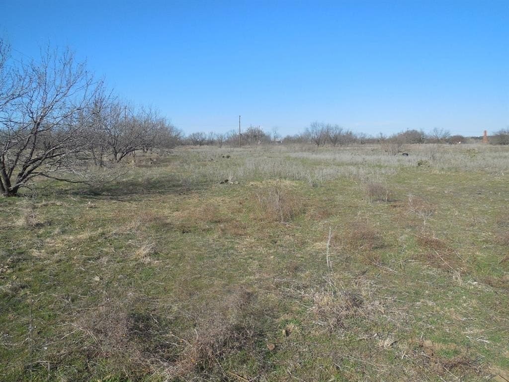 48.12 acres in Eastland County - photo 5