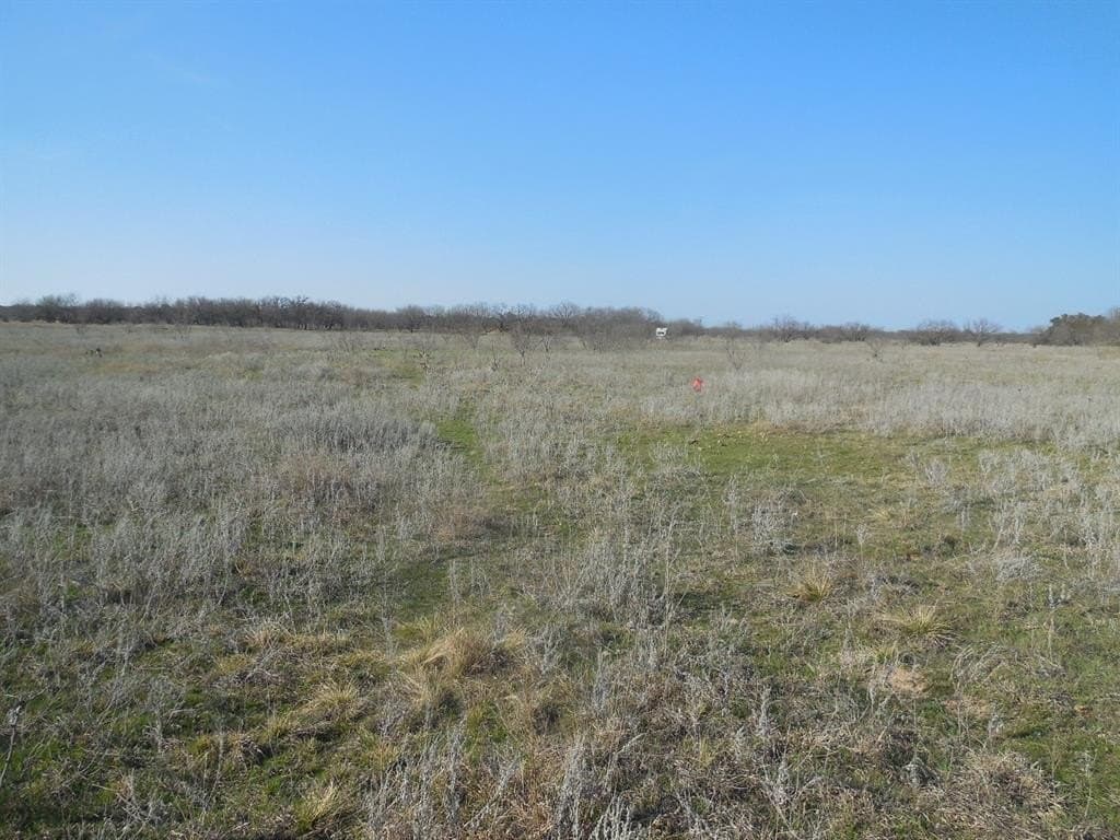 48.12 acres in Eastland County - photo 15