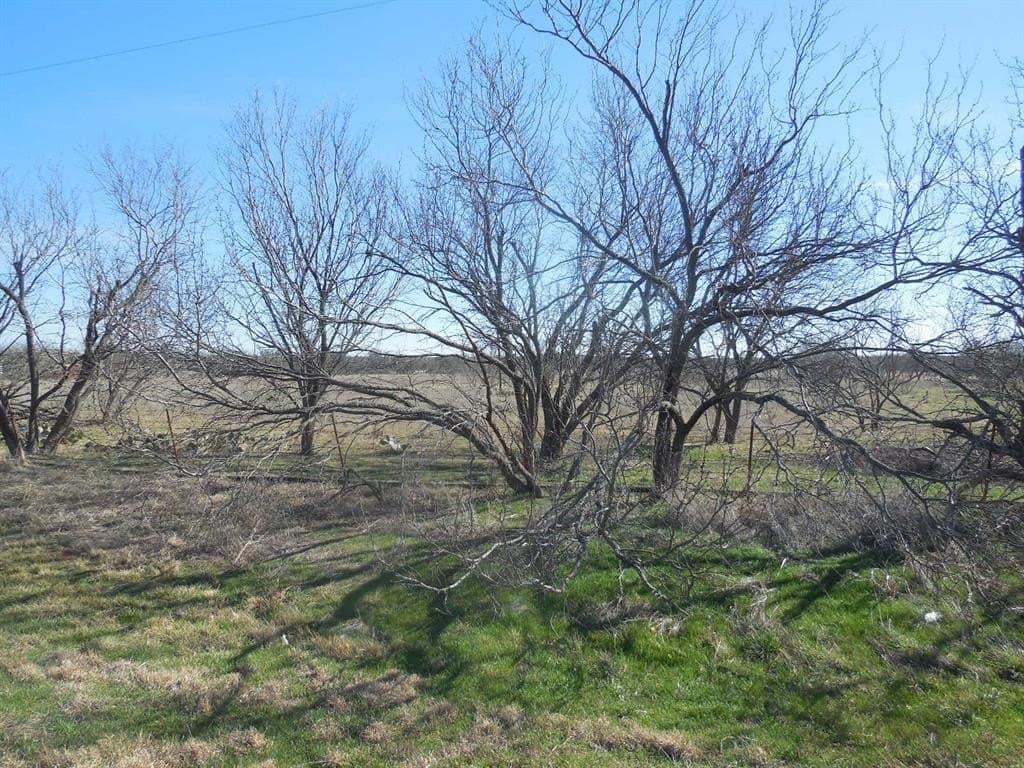 48.12 acres in Eastland County - photo 4