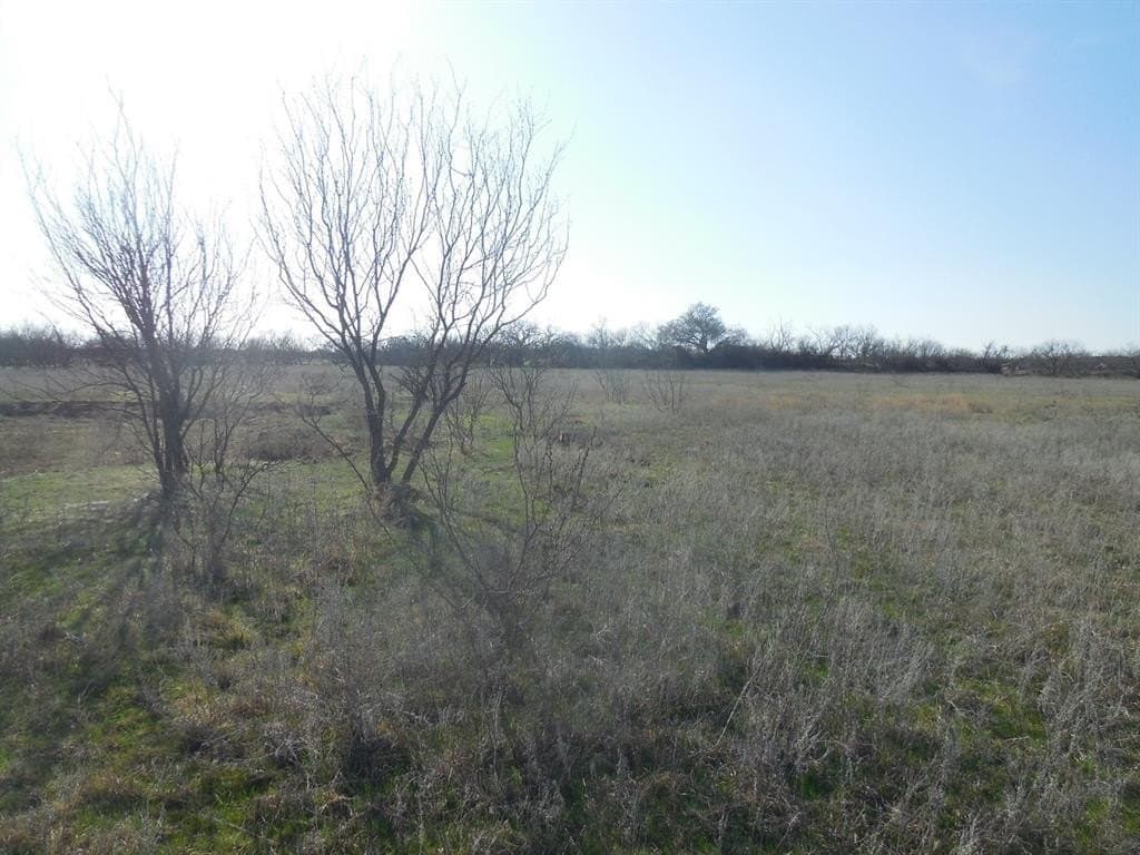 48.12 acres in Eastland County - photo 16