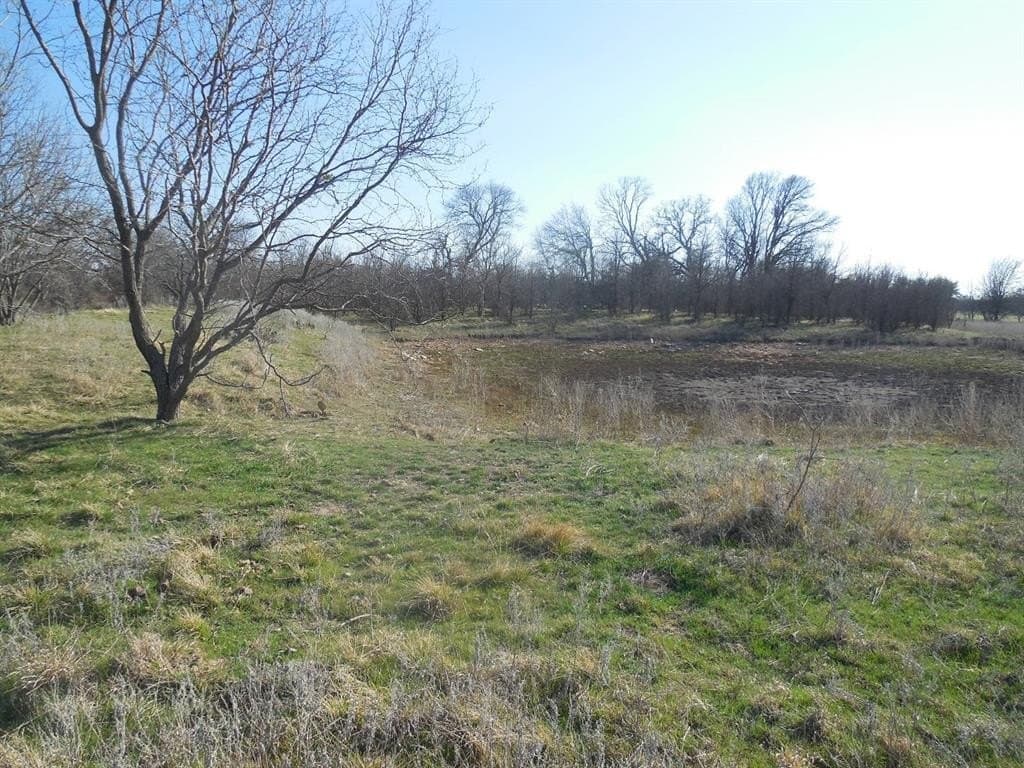 48.12 acres in Eastland County - photo 17