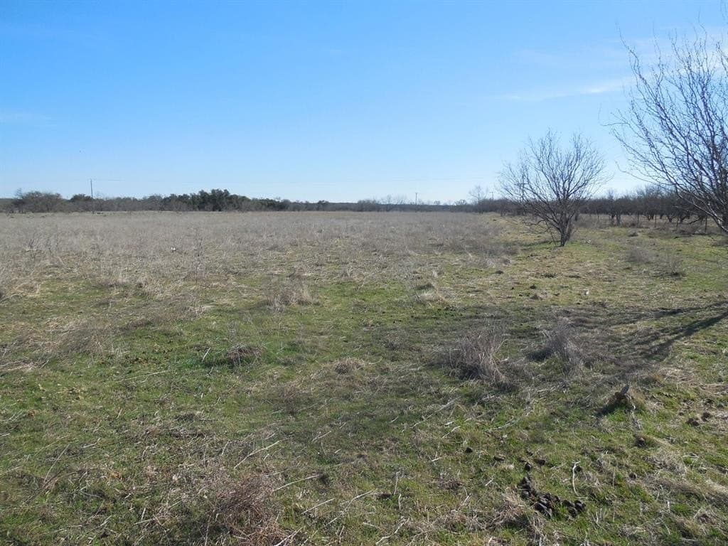 48.12 acres in Eastland County - photo 6