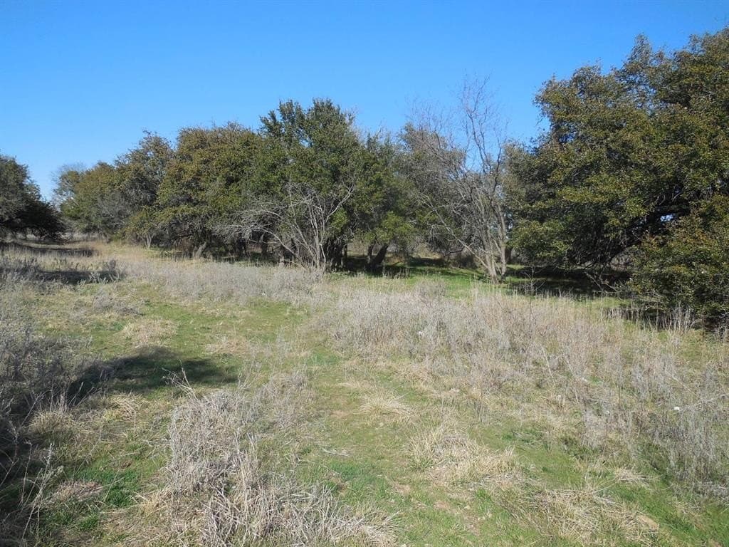 48.12 acres in Eastland County - photo 9