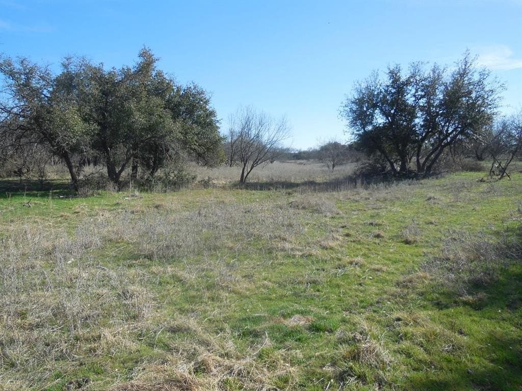 48.12 acres in Eastland County - photo 10