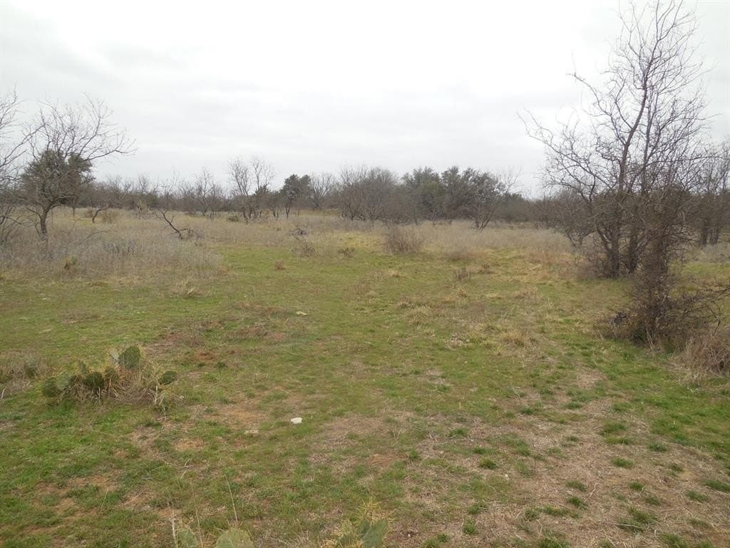 48.12 acres in Eastland County - photo 21