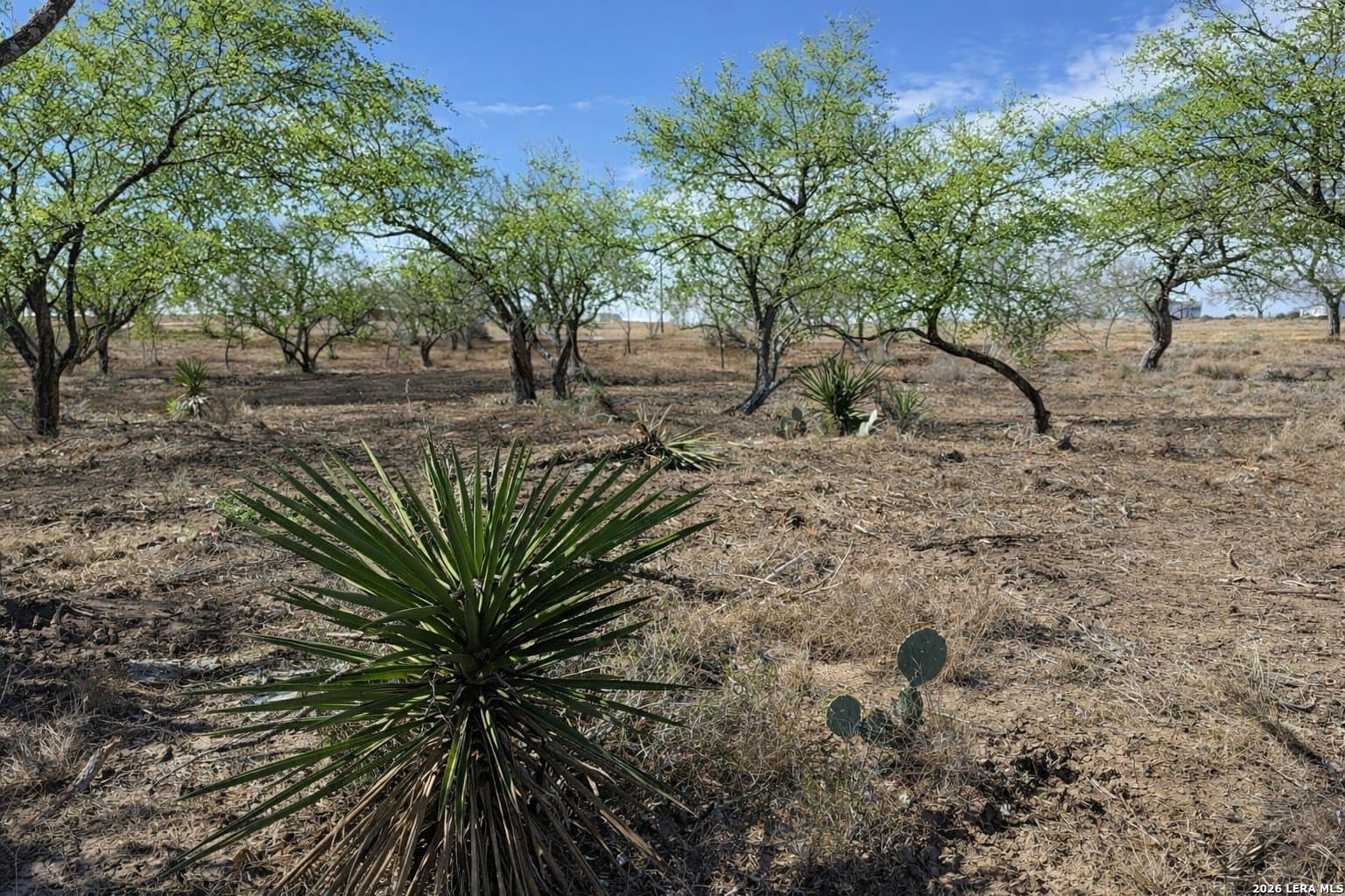 1.28 acres in Atascosa County - photo 2