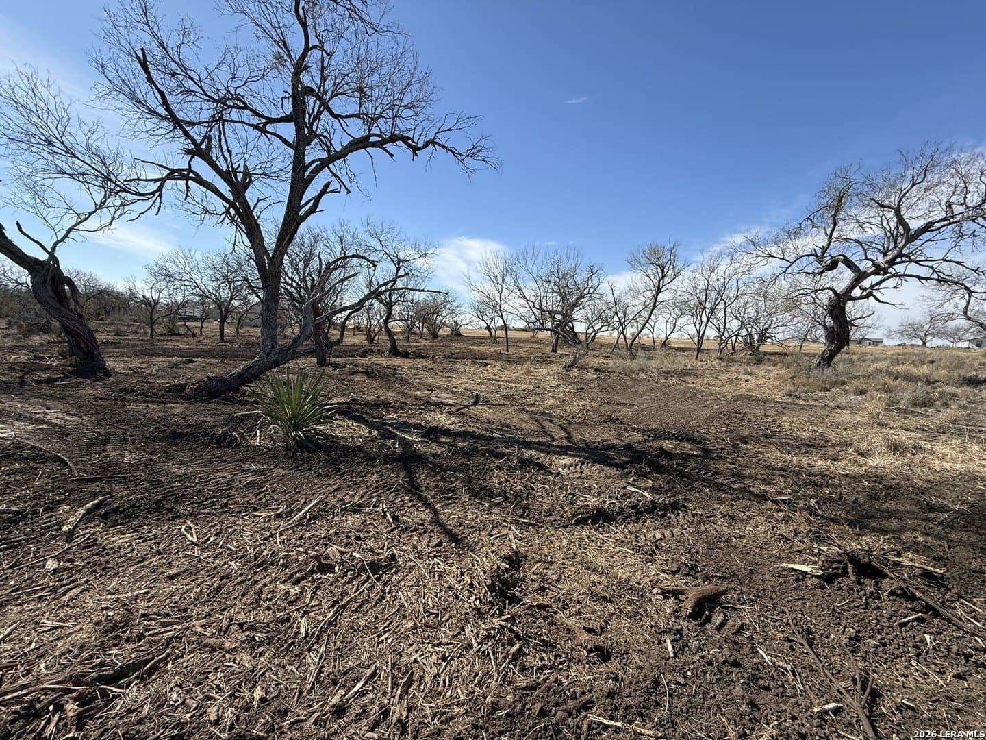 1.28 acres in Atascosa County - photo 41