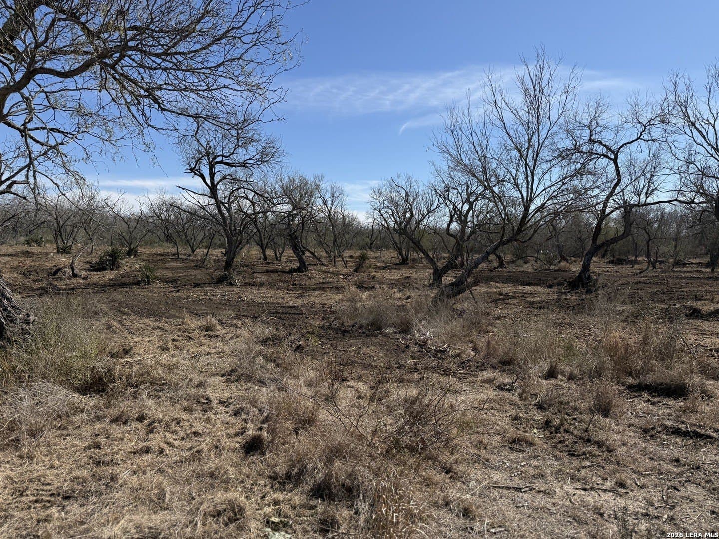 1.28 acres in Atascosa County - photo 44
