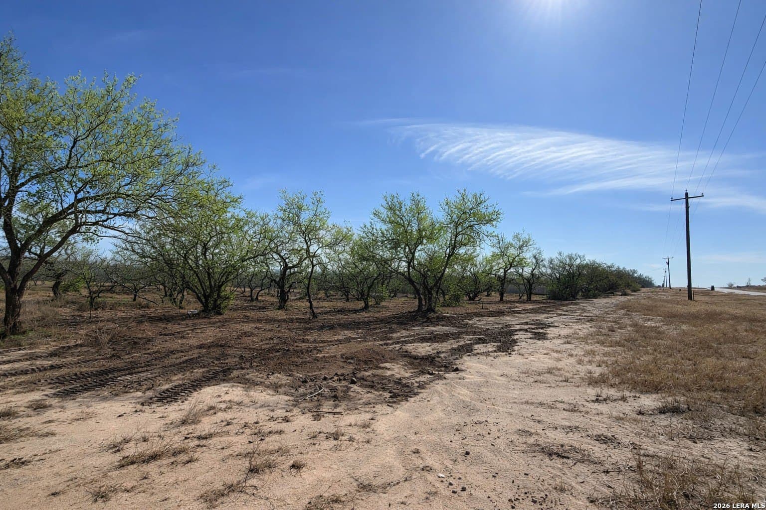 1.28 acres in Atascosa County - photo 6