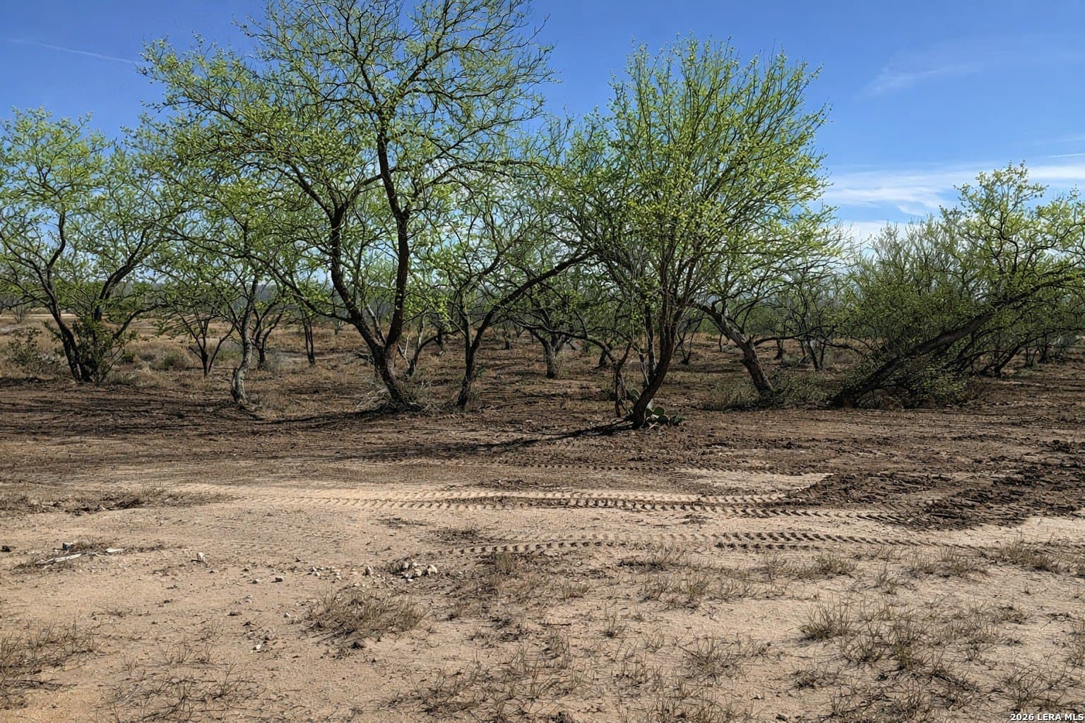 1.28 acres in Atascosa County - photo 4
