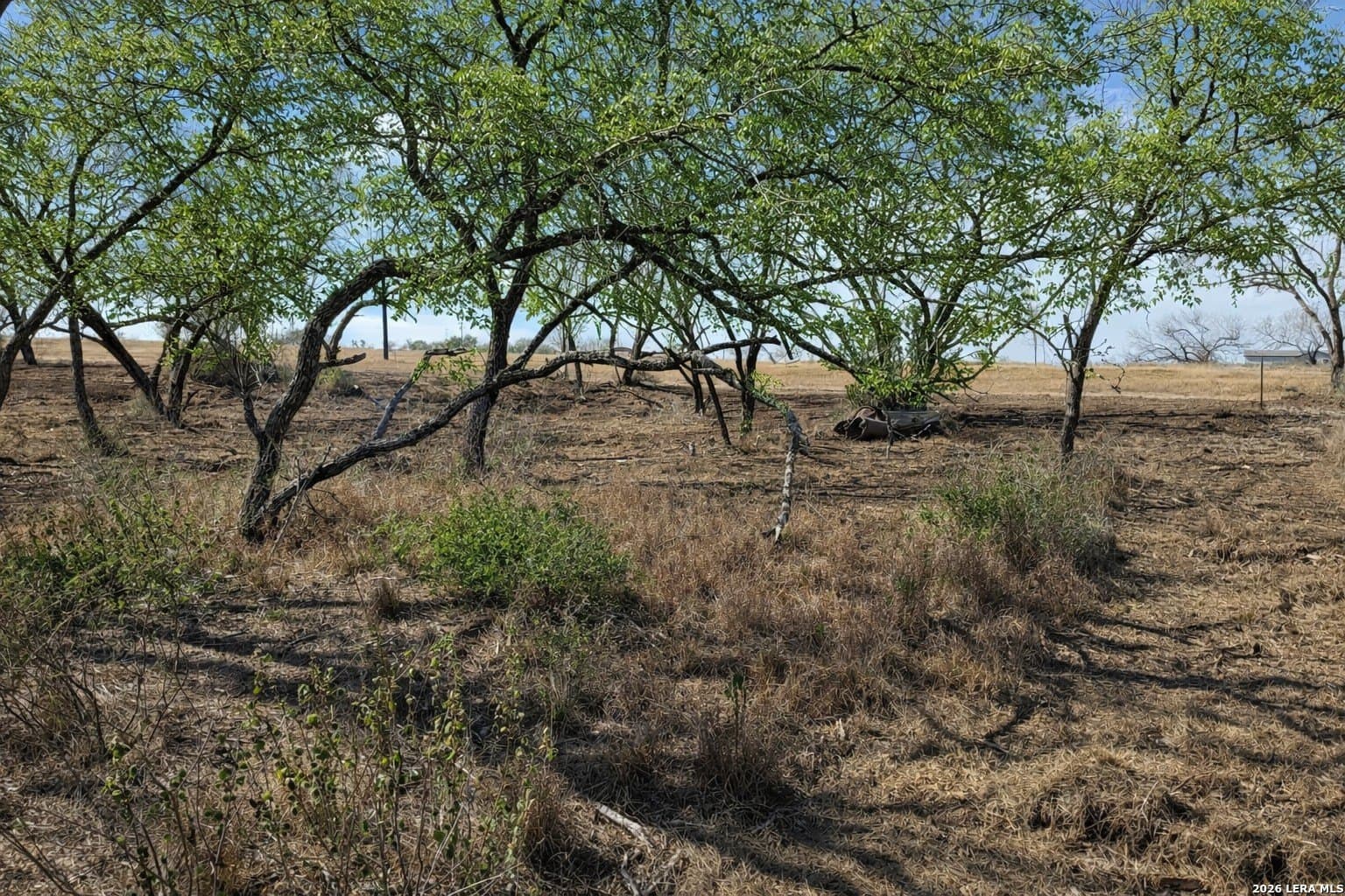 1.28 acres in Atascosa County - photo 9
