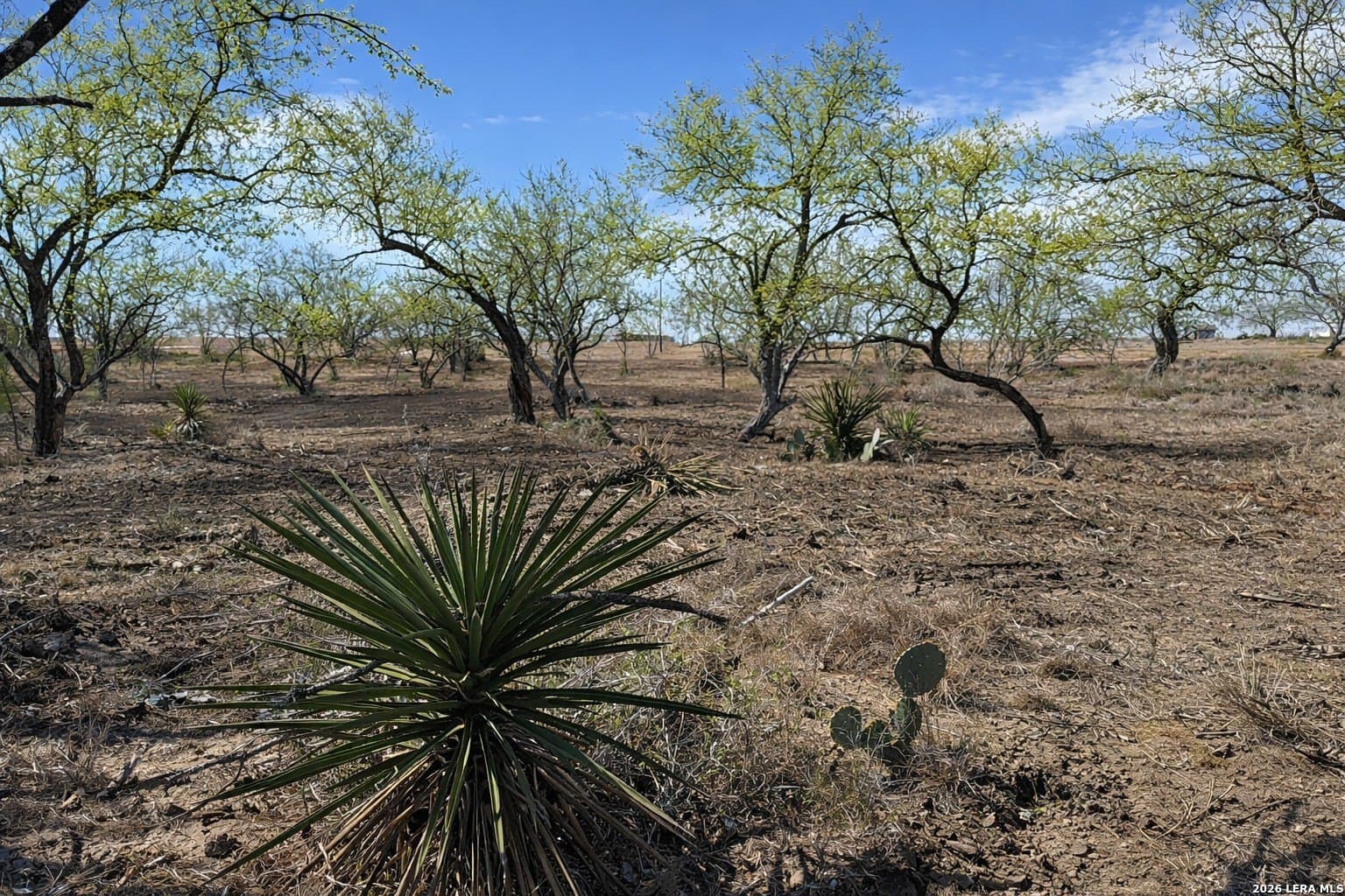 1.28 acres in Atascosa County - photo 10