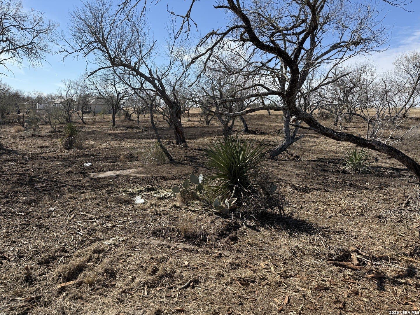 1.28 acres in Atascosa County - photo 39