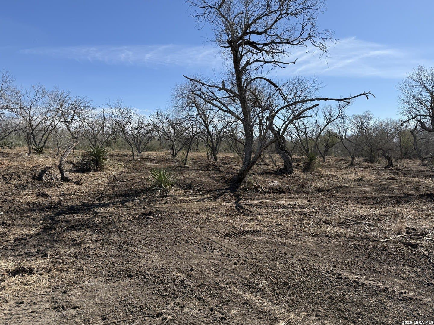 1.28 acres in Atascosa County - photo 43