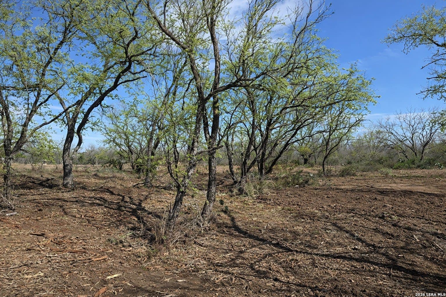 1.28 acres in Atascosa County - photo 8
