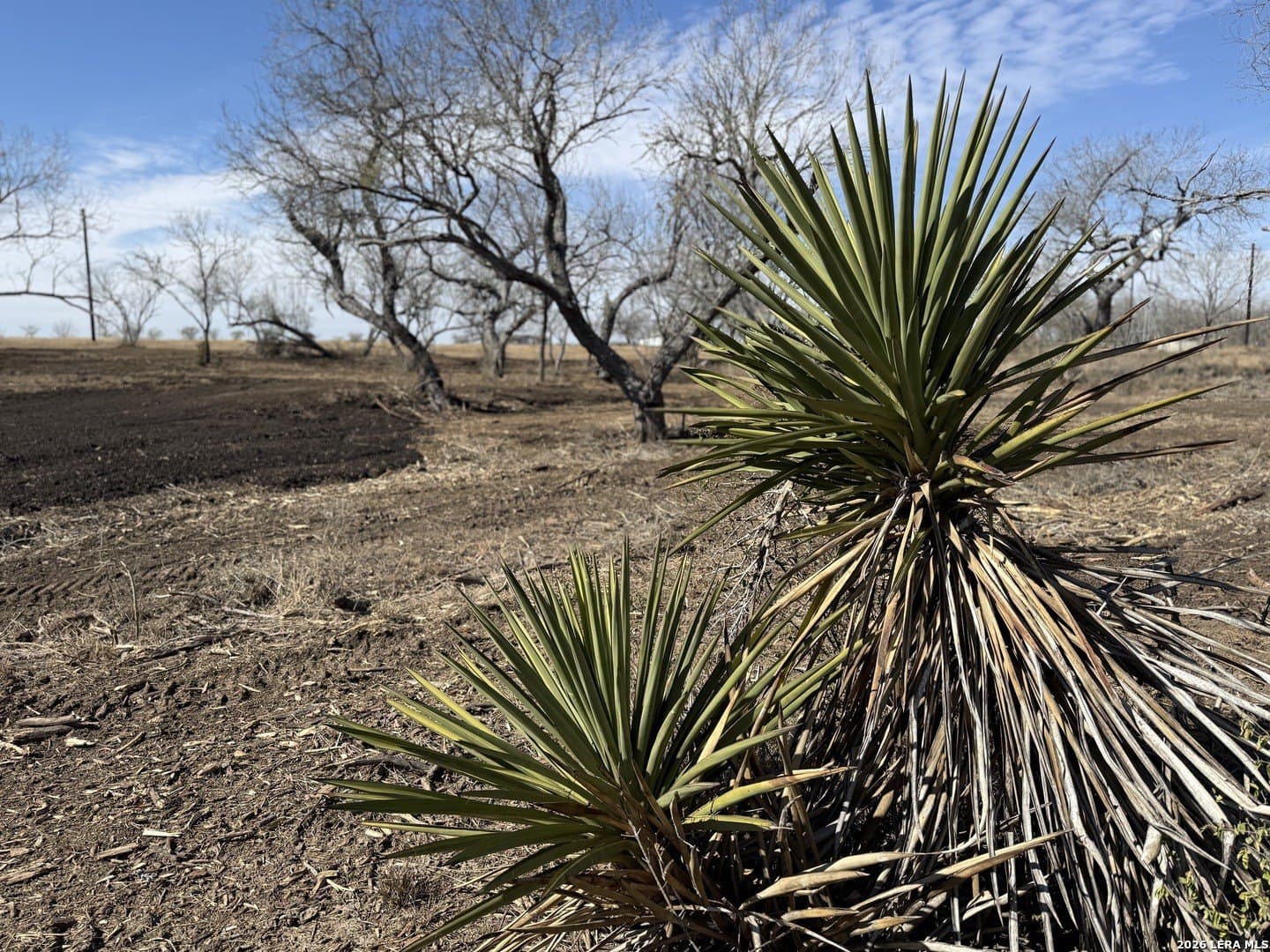 1.28 acres in Atascosa County - photo 36